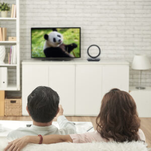 Antena de TV interior - Image 9