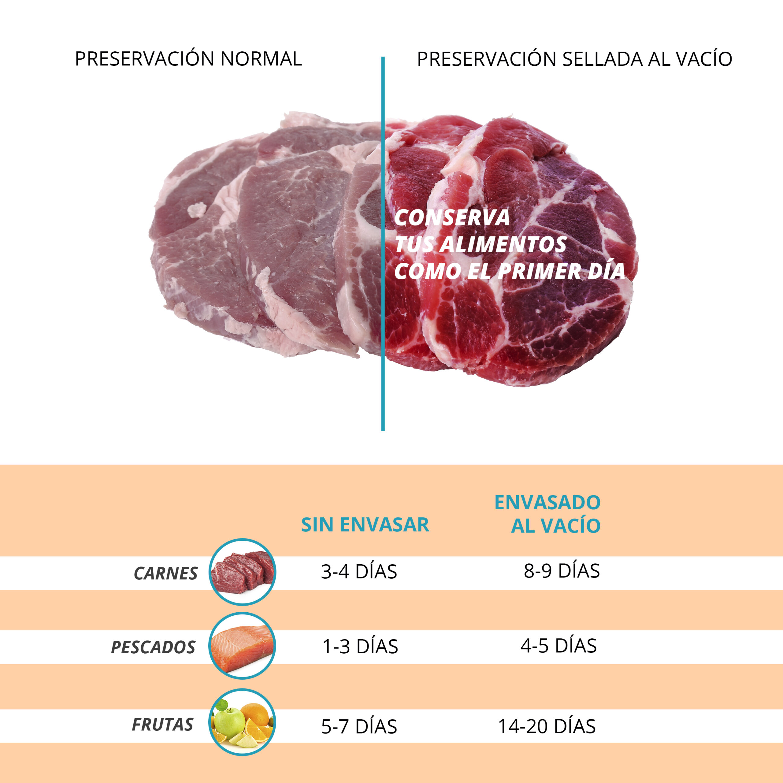 Envasadora al vacío FINICA FRESH - Imagen 3